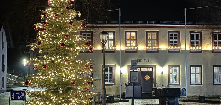 Geschmückter Weihnachtsbaum vor dem Rathaus