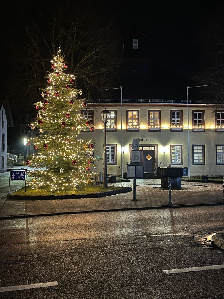 Geschmückter Weihnachtsbaum vor dem Rathaus