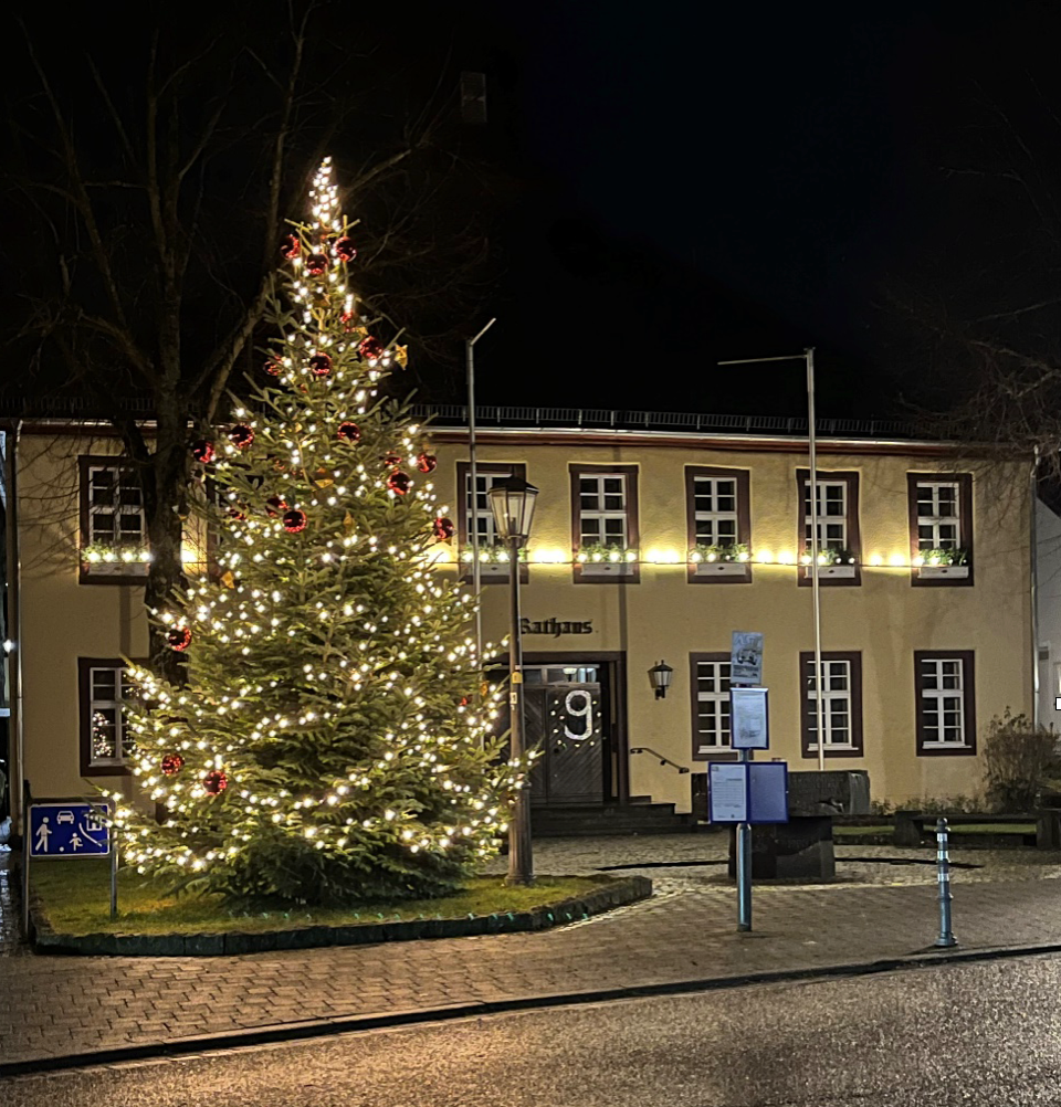 Weihnachtsbaum für den Rathausplatz gesucht Geschmückter Weihnachtsbaum vor dem Rathaus