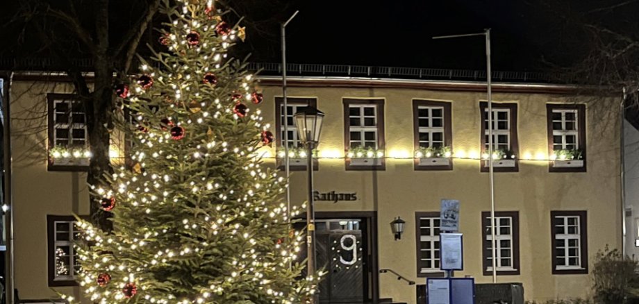 Geschmückter Weihnachtsbaum vor dem Rathaus